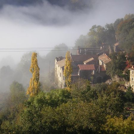 Mas La Donzelenche Hotel Vialas Cameră foto